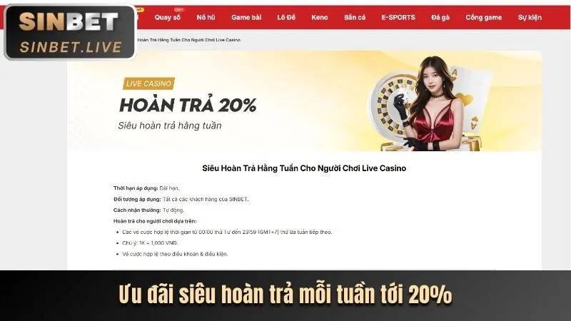 Tổng quan về nền tảng 10bet Casino